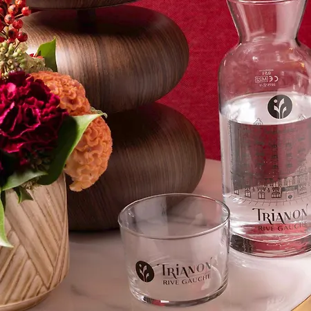 Hotel Trianon Rive Gauche-3